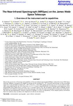 The Near-Infrared Spectrograph (NIRSpec) on the James Webb Space Telescope