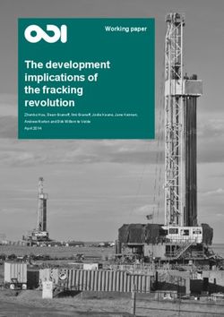The development implications of the fracking revolution - Working paper
