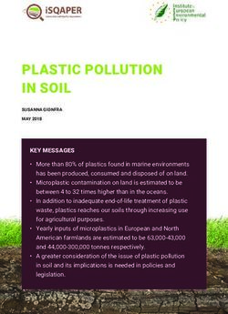 PLASTIC POLLUTION IN SOIL - Institute for European Environmental Policy