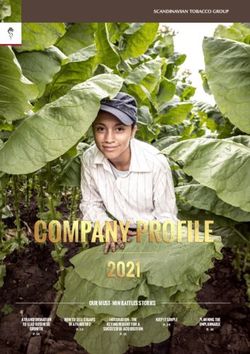 OUR MUST-WIN BATTLES STORIES - A TRANSFORMATION TO LEAD BUSINESS - Scandinavian ...