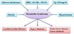 COVID-19 comorbidity and metabolic syndrome: is there a Molecular basis? - Preprints.org