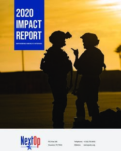 IMPACT REPORT 2020 - NextOp