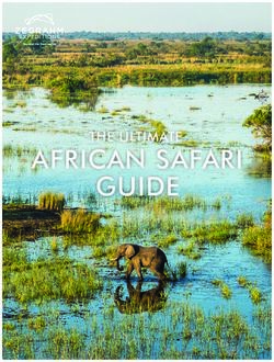 AFRICAN SAFARI GUIDE THE ULTIMATE - HubSpot