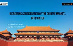 Prepared for AIAL By Big Picture 2018 - Auckland Airport ...