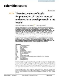 The effectiveness of Rutin for prevention of surgical induced endometriosis development in a rat model - Nature