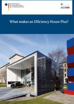 What makes an Efficiency House Plus? - Bundesministerium für Umwelt, Naturschutz, Bau und Reaktorsicherheit - Fraunhofer IBP