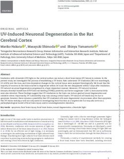 UV-Induced Neuronal Degeneration in the Rat Cerebral Cortex