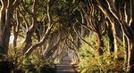 USA ADMISSIONS GUIDE - qub.ac.uk - Queen's University Belfast