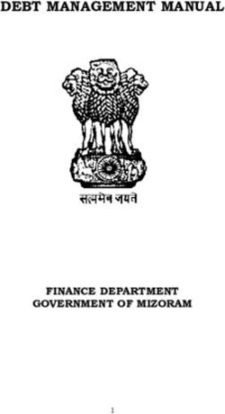 DEBT MANAGEMENT MANUAL - FINANCE DEPARTMENT GOVERNMENT OF MIZORAM - Finance Department, Mizoram