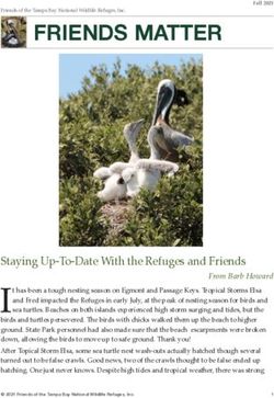 FRIENDS MATTER - Friends of the Tampa ...