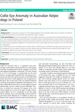 Collie Eye Anomaly in Australian Kelpie dogs in Poland - BMC ...