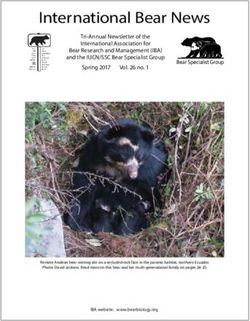 International Bear News - International Association for Bear Research and ...