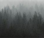 ON THE RESOURCE EFFI CIENCY OF KRAFT LIGNIN EXTRACTION - JONAS KIHLMAN - KAU.SEEN/VIPP - DIVA