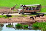 Adventure T h e - Serengeti-Park