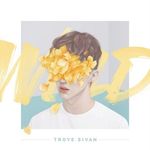 Troye Sivan - Blue Neighbourhood