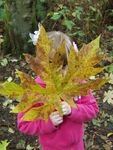 Explore More Nature with Seattle Parks and Recreation - Seattle.gov