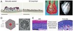Clean Bioprinting - Fabrication of 3D Organ Models Devoid of Animal Components
