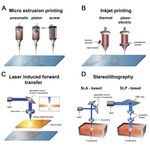 Clean Bioprinting - Fabrication of 3D Organ Models Devoid of Animal Components