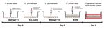 Clean Bioprinting - Fabrication of 3D Organ Models Devoid of Animal Components