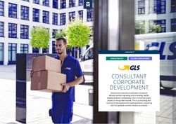 CONSULTANT CORPORATE DEVELOPMENT - Top of Minds