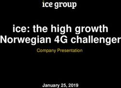 Ice: the high growth Norwegian 4G challenger - Company Presentation January 2 5, 2019 - ice group