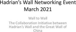 Hadrian's Wall Networking Event March 2021 - Wall to Wall The Collaboration Initiative between Hadrian's Wall and the Great Wall of China