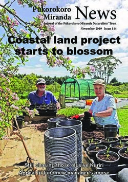 Miranda News Coastal land project starts to blossom - Pūkorokoro - Miranda Shorebird ...