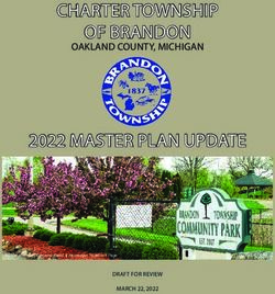 CHARTER TOWNSHIP OF BRANDON 2022 MASTER PLAN UPDATE - OAKLAND COUNTY, MICHIGAN - DRAFT FOR REVIEW - Brandon Township