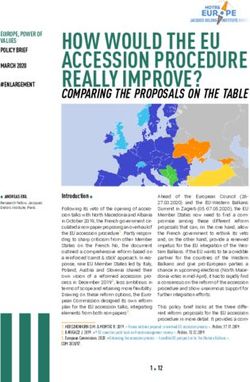 HOW WOULD THE EU ACCESSION PROCEDURE REALLY IMPROVE?