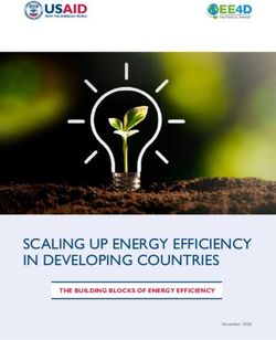 SCALING UP ENERGY EFFICIENCY IN DEVELOPING COUNTRIES - THE BUILDING BLOCKS OF ENERGY EFFICIENCY