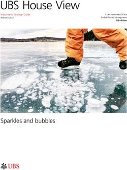 UBS House View - Sparkles and bubbles - Investment Strategy Guide - NH Business Review