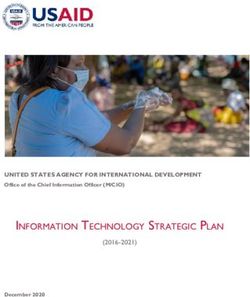 INFORMATION TECHNOLOGY STRATEGIC PLAN - UNITED STATES AGENCY FOR INTERNATIONAL DEVELOPMENT - USAID