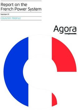 Report on the French Power System - COUNTRY PROFILE Version 1.1 - Agora Energiewende