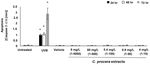 Apple of Sodom (Calatropis procera) Callus Extract, a Novel Skincare Active and Its Biological Activity in Skin Models When Combined with Dead Sea ...
