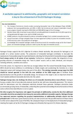 A workable approach to additionality, geographic and temporal correlation is key to the achievement of the EU Hydrogen Strategy