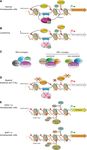 Epigenetics of hematopoiesis and hematological malignancies