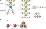 Epigenetics of hematopoiesis and hematological malignancies
