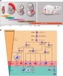 Epigenetics of hematopoiesis and hematological malignancies