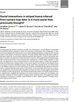 Social interactions in striped hyena inferred from camera trap data: is it more social than previously thought?