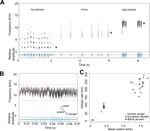 The hummingbird syrinx morphome: a detailed three-dimensional description of the black jacobin's vocal organ