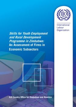 Skills for Youth Employment and Rural Development Programme in Zimbabwe: An Assessment of Firms in Economic Subsectors - ILO Country Office for ...