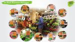 Global Health and Wellness Digital Framework - The ...