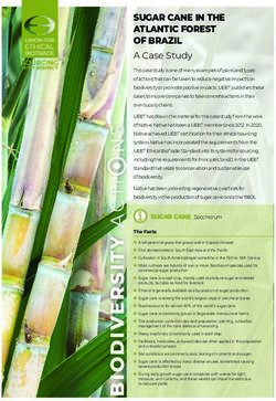 SUGAR CANE IN THE ATLANTIC FOREST OF BRAZIL