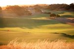 ITINERARY FULLY GUIDED LADIES MORNINGTON PENINSULA GOLF ESCAPE - Golf & Tours