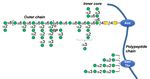 White Wine Protein Instability: Mechanism, Quality Control and Technological Alternatives for Wine Stabilisation-An Overview