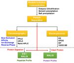 White Wine Protein Instability: Mechanism, Quality Control and Technological Alternatives for Wine Stabilisation-An Overview