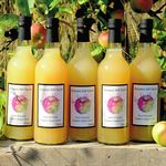 Examining the potential for harvesting and making more use of the fruit from traditional orchards - A study carried out for the Three Counties ...