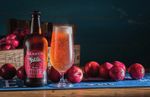 Examining the potential for harvesting and making more use of the fruit from traditional orchards - A study carried out for the Three Counties ...