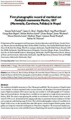 First photographic record of marbled cat