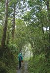 2020 Taiwan Tourism Guide Book